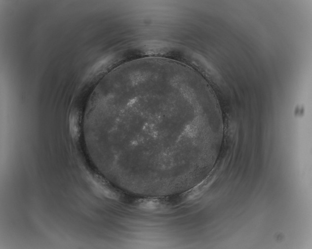 X0000097910074200803141428