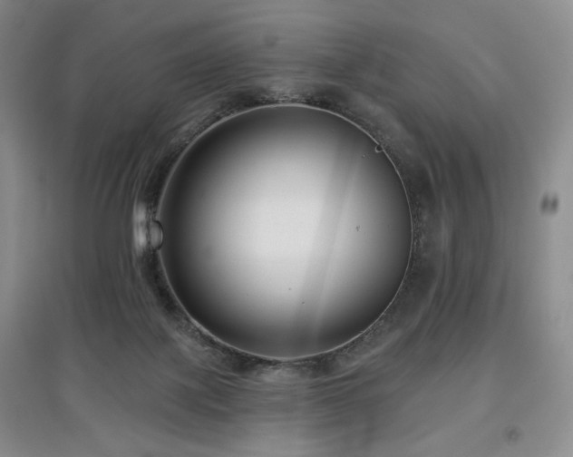 X0000097910075200803141428