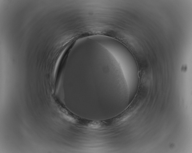 X0000097910076200803141428