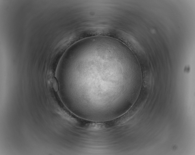 X0000097910077200803141428