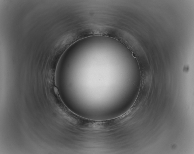 X0000097910078200803141428