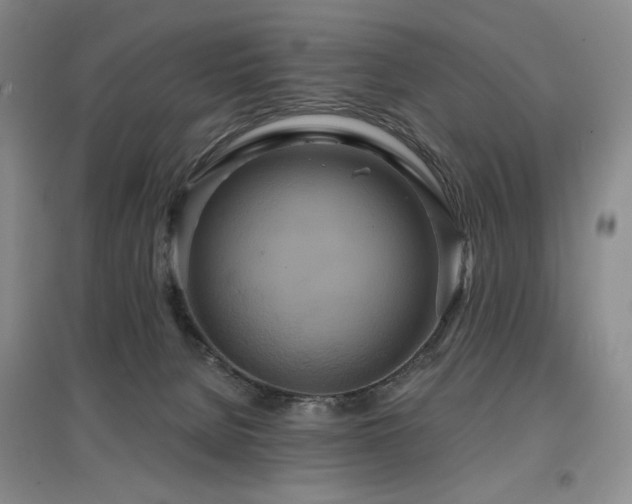 X0000097910080200803141428