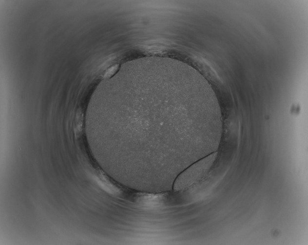 X0000097910081200803141428