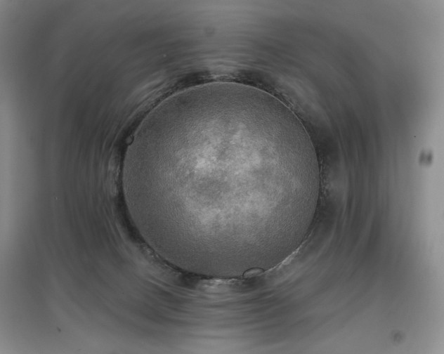 X0000097910082200803141428