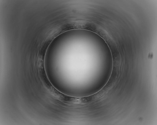 X0000097910083200803141428