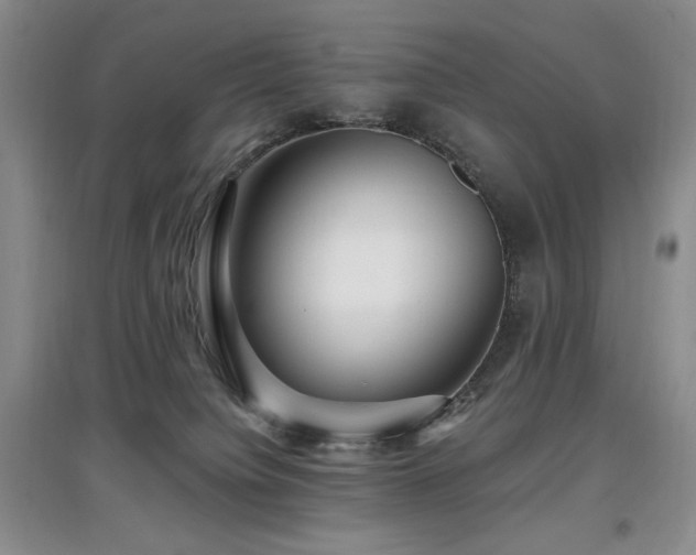 X0000097910084200803141428