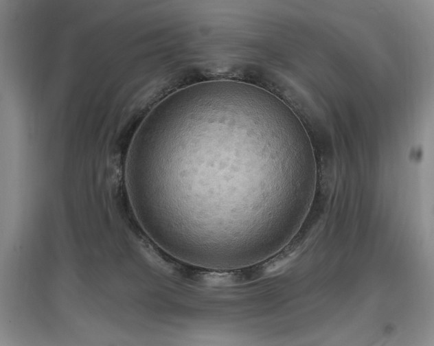 X0000097910085200803141428