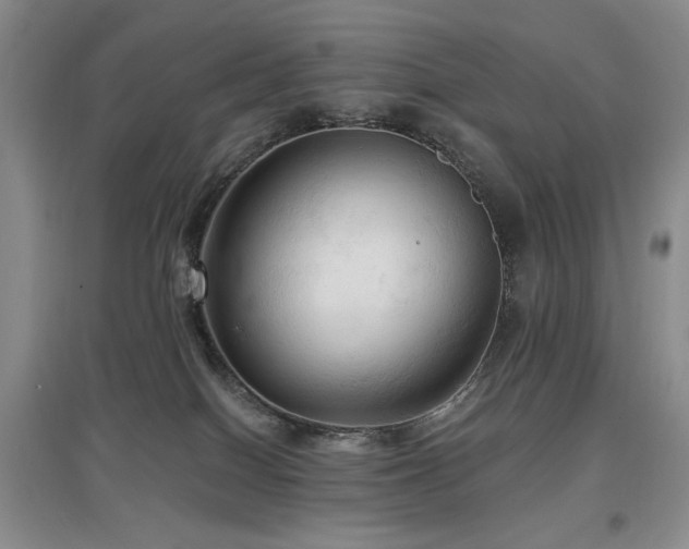 X0000097910086200803141428