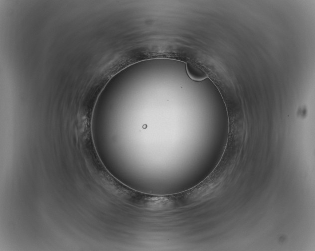 X0000097910087200803141428