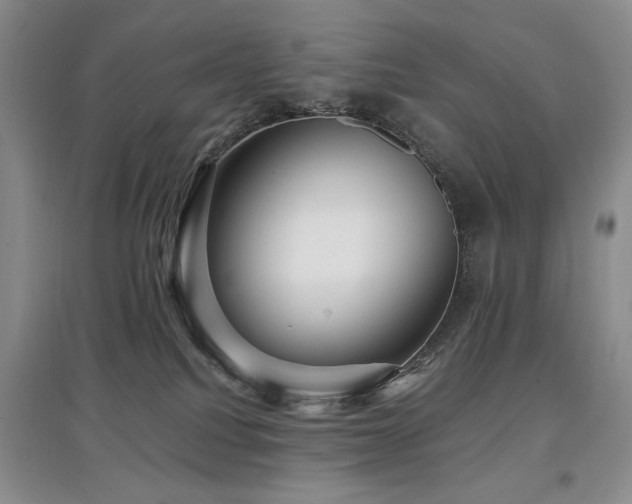 X0000097910088200803141428