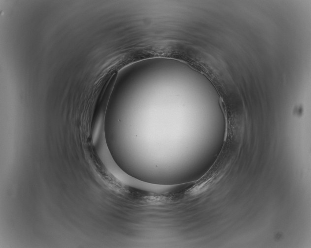 X0000097910092200803141428