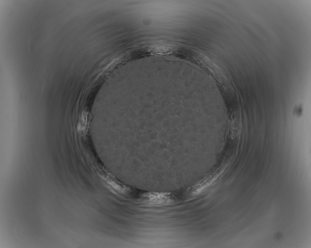 X0000097910093200803141428