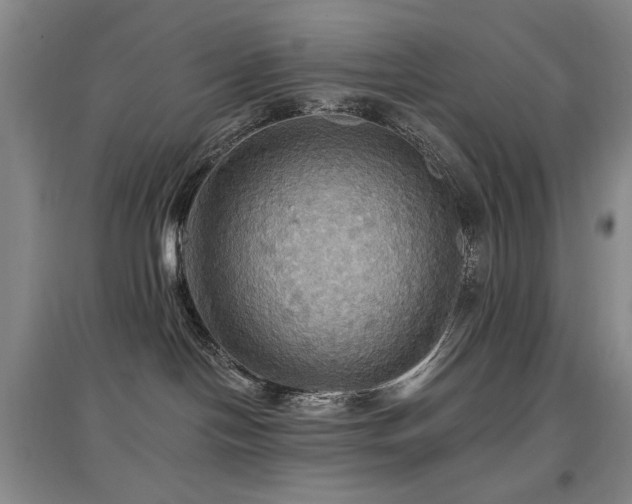 X0000097910094200803141428