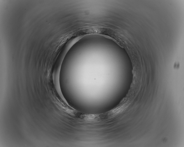 X0000097910096200803141428