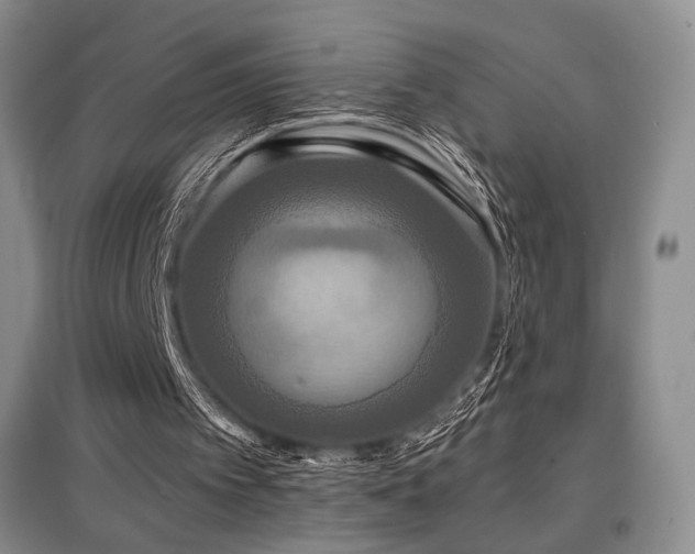 X0000097910097200803141427