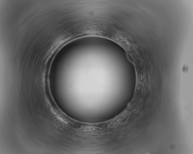 X0000097910098200803141427