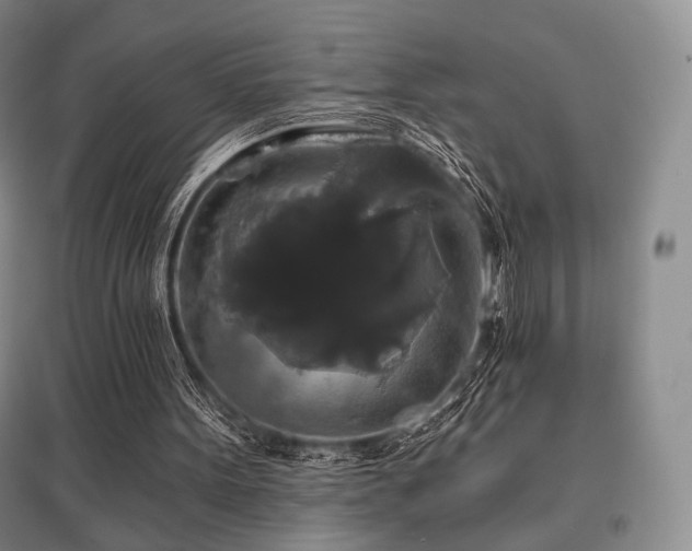 X0000097910099200803141427