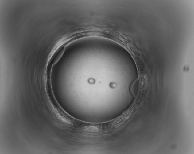 X0000097910102200803141427