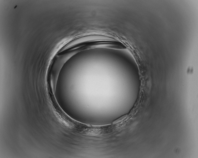 X0000097910104200803141427