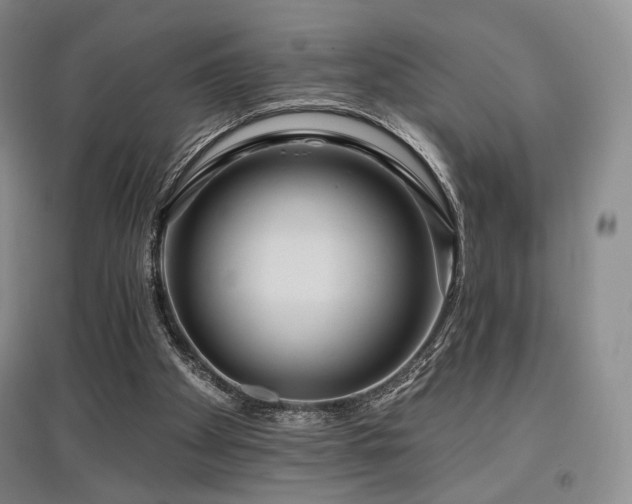 X0000097910105200803141427