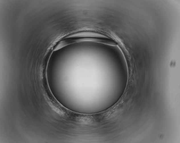 X0000097910106200803141427