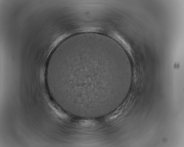 X0000097910107200803141427