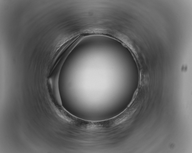 X0000097910109200803141427