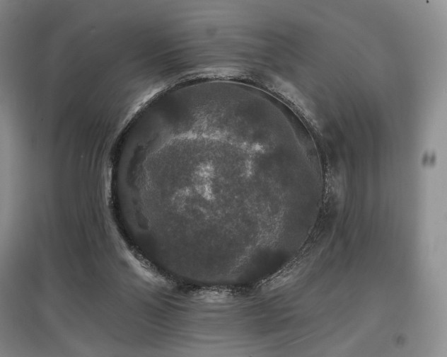 X0000097910110200803141427