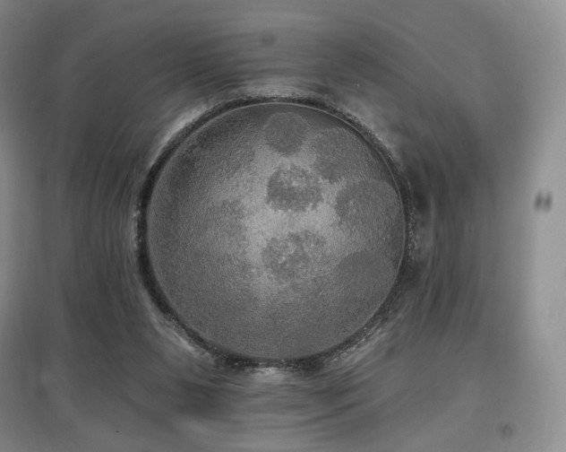 X0000097910111200803141427