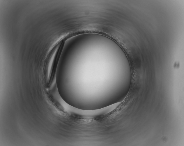 X0000097910112200803141427