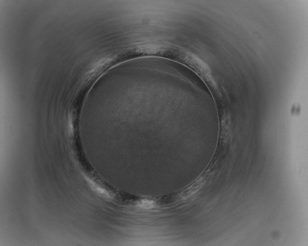 X0000097910114200803141427