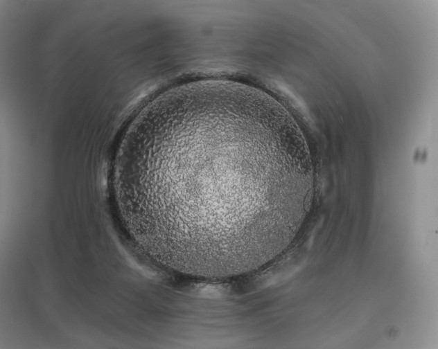 X0000097910115200803141427