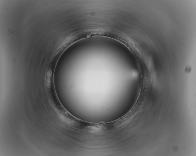 X0000097910118200803141427