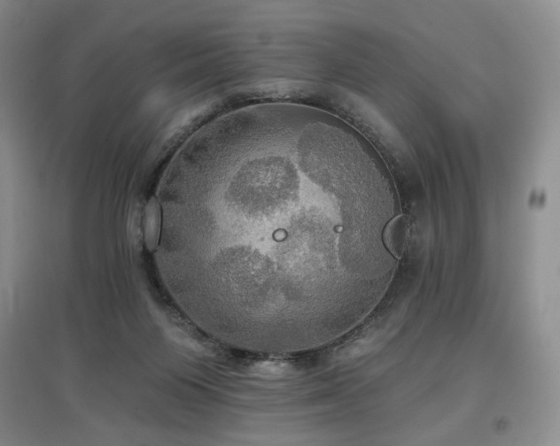 X0000097910119200803141427