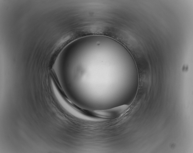 X0000097910120200803141427