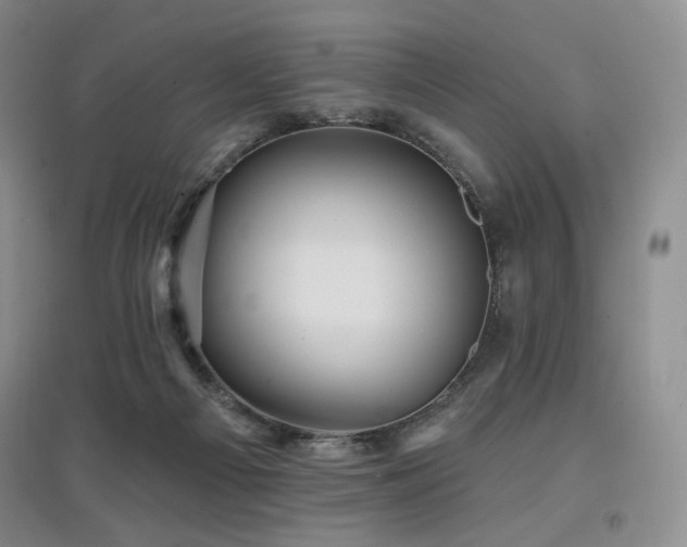 X0000097910121200803141427