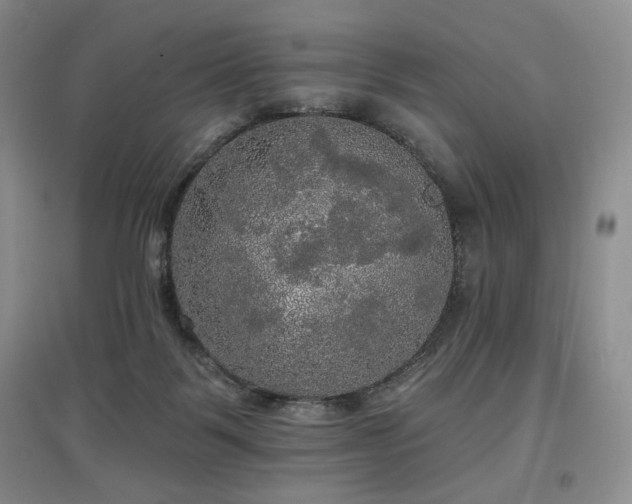 X0000097910123200803141427