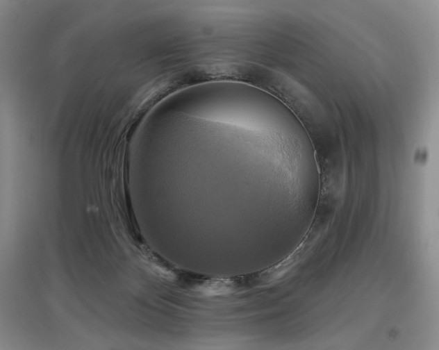 X0000097910124200803141427