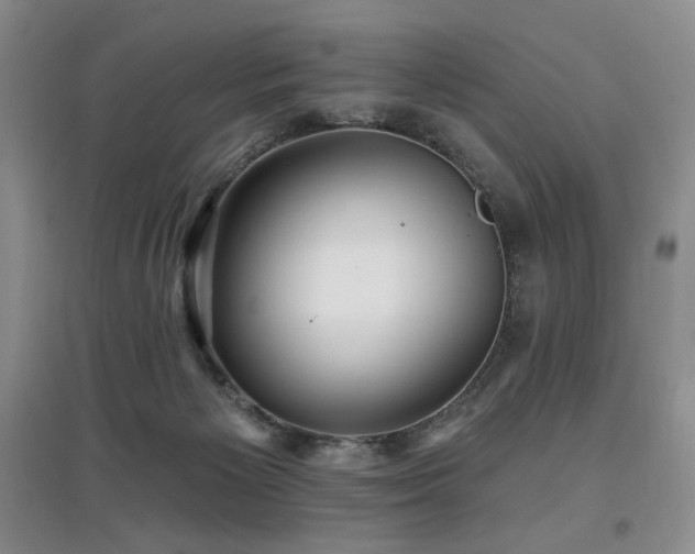 X0000097910125200803141427