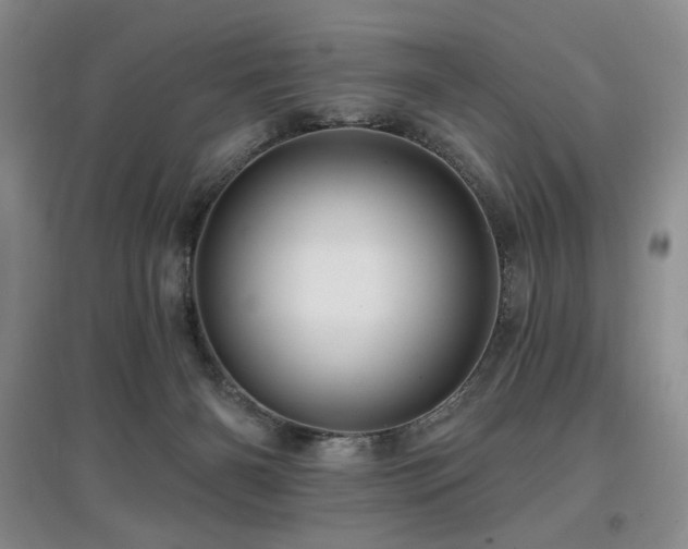 X0000097910126200803141427