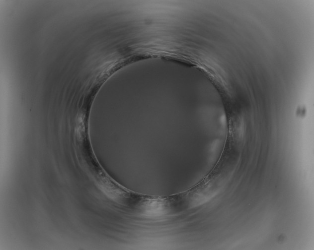 X0000097910127200803141427