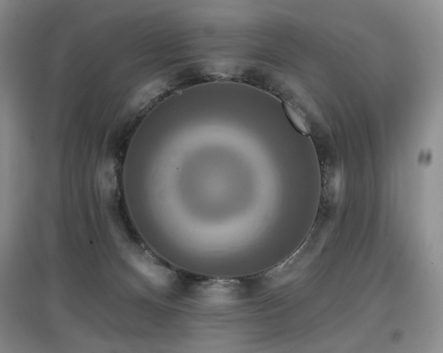 X0000097910128200803141427