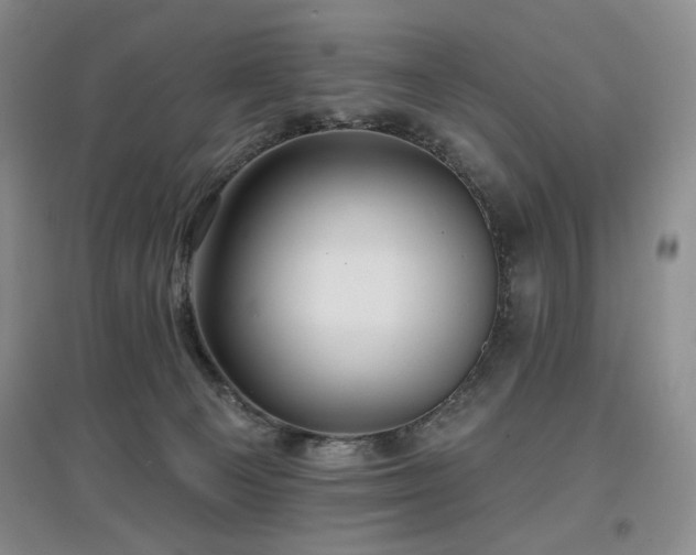 X0000097910129200803141427