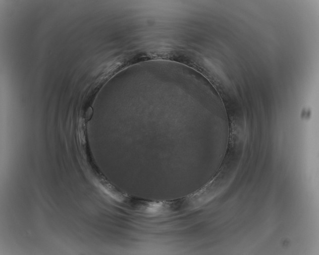 X0000097910130200803141427