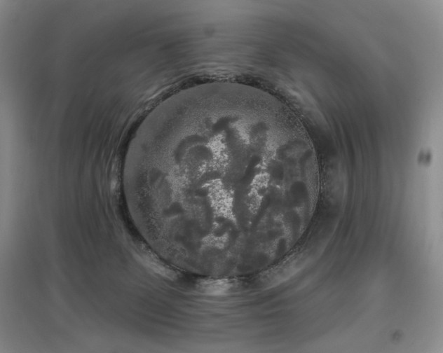 X0000097910131200803141427