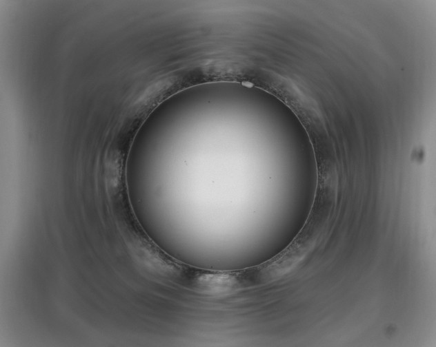 X0000097910133200803141427