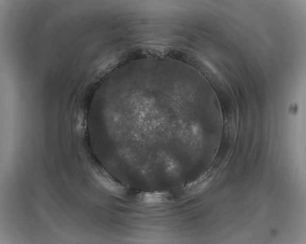 X0000097910134200803141427