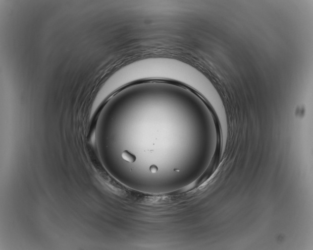 X0000097910136200803141427