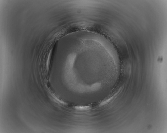 X0000097910137200803141427