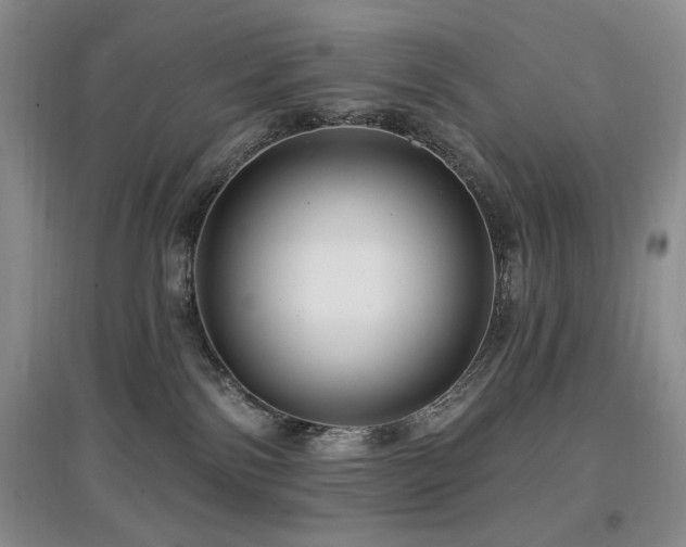 X0000097910138200803141427